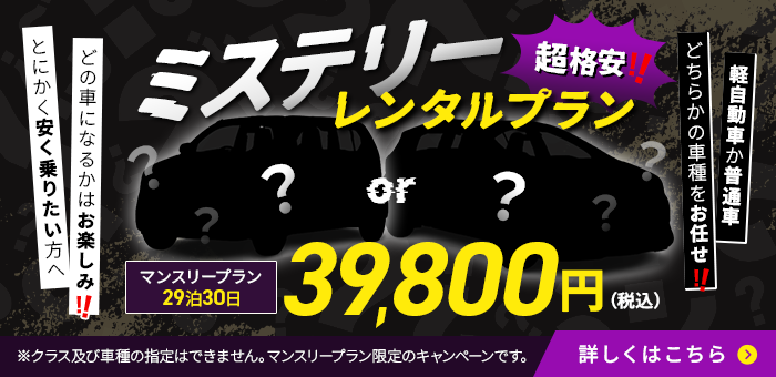 ミステリーレンタルプラン